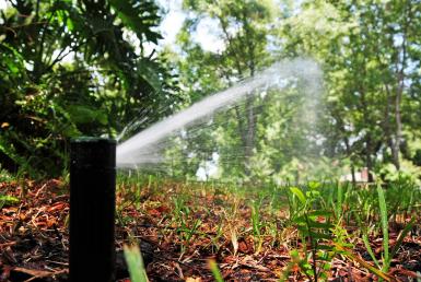 Peoria sprinkler repair team installs new pop-up heads