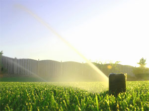 our Sun City West sprinkler repair team has installed and maintained this irrigation system