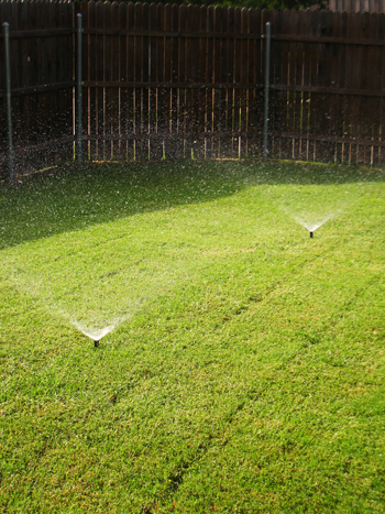 Beautifully restored lawn in Surprise Arizona